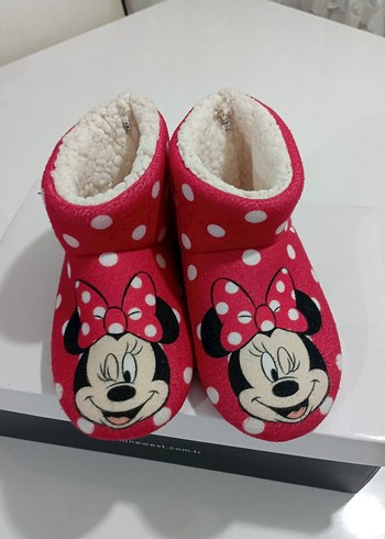 Walt Disney World 25