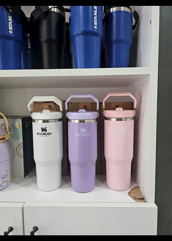 Stanley Pastel Renkli Çocuk Termos Şişesi - Görsel 2