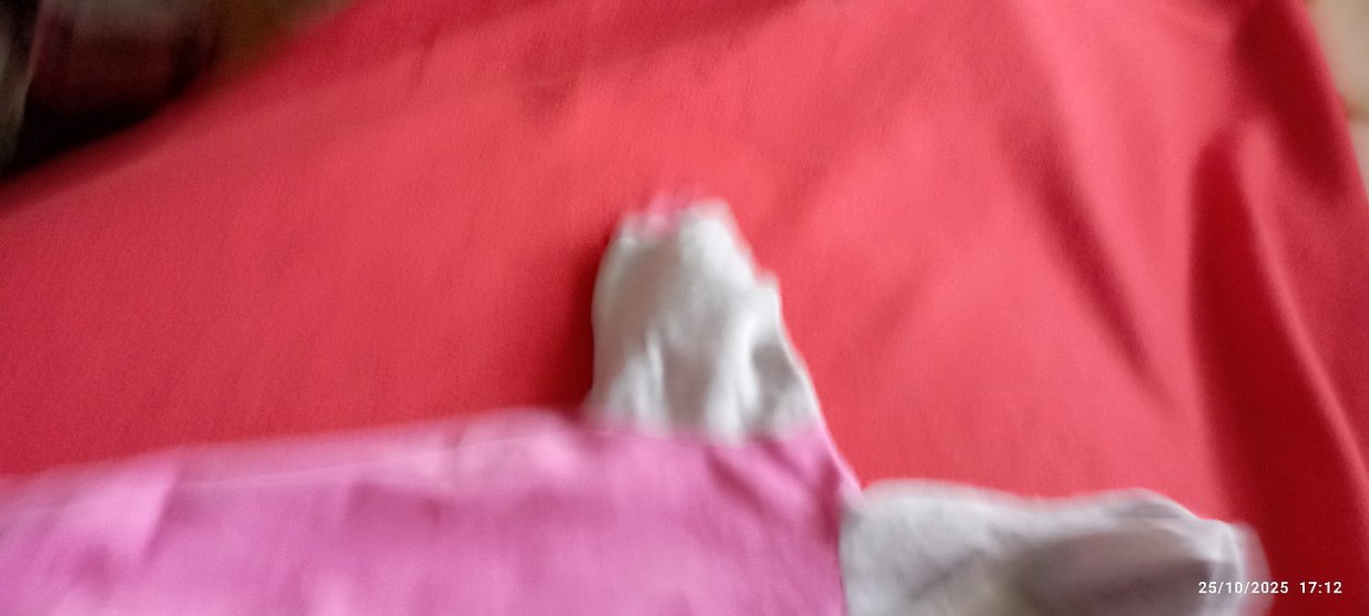 Düğmeli Gri-Pembe Nakışlı Köpek Kıyafeti - Görsel 5