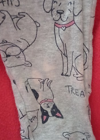 Kız Çocuk Gri Pamuklu Uzun Kollu esofman - Görsel 6