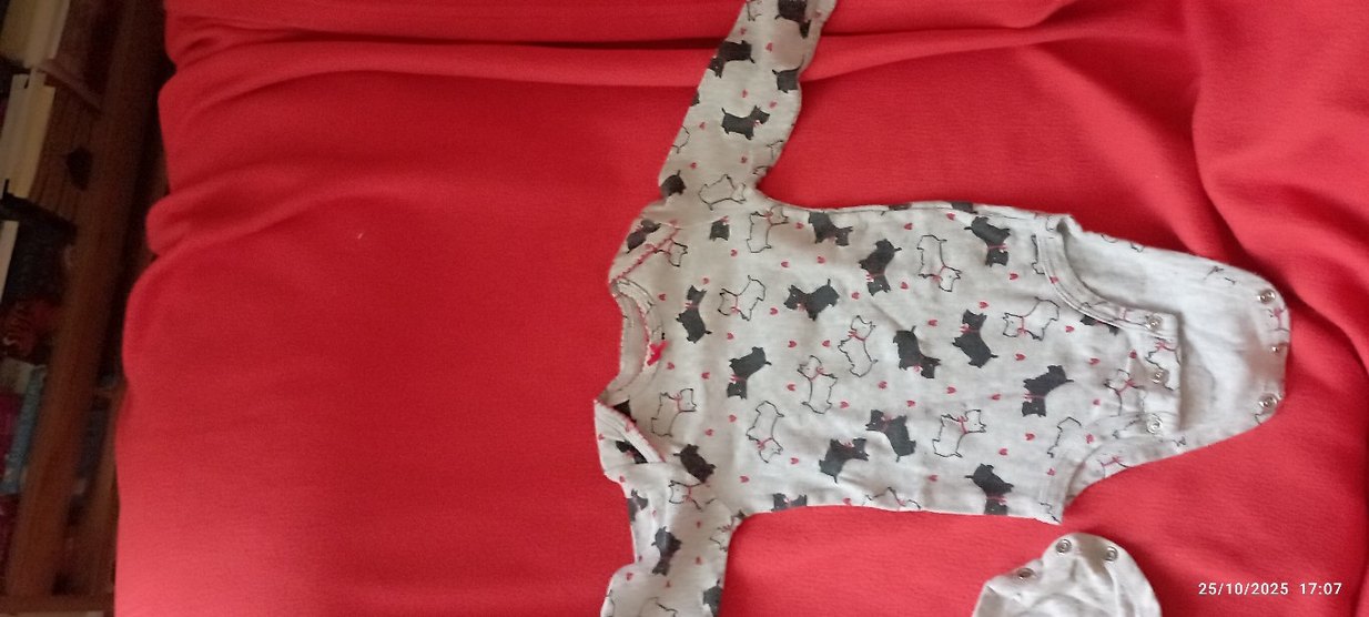 Kız Çocuk Gri Pamuklu Uzun Kollu esofman - Görsel 5