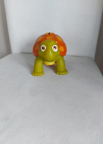  Beden Renk Renkli Kaplumbağa kumbara