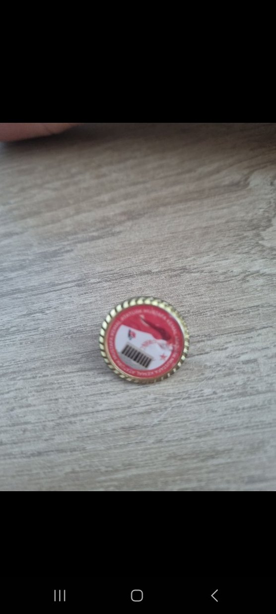 Atatürk ve Anıtkabir Broşları - Görsel 3