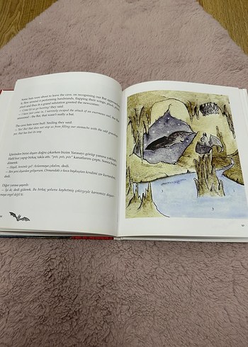 Yalancı Yarasa - Engin Korelli Çocuk Kitabı Türkçe İngilizce - Görsel 2