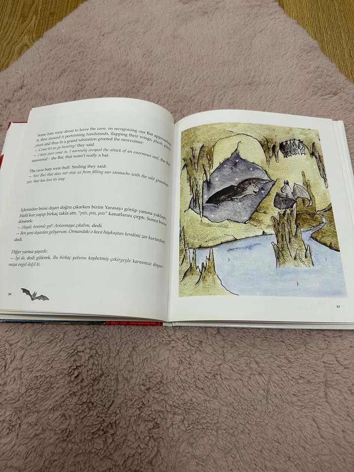 Yalancı Yarasa - Engin Korelli Çocuk Kitabı Türkçe İngilizce - Görsel 2