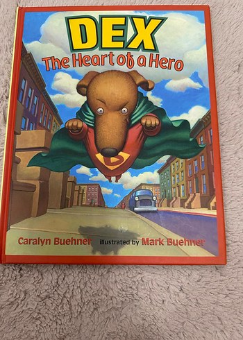 Dex The Heart of a Hero İngilizce Çocuk Kitabı