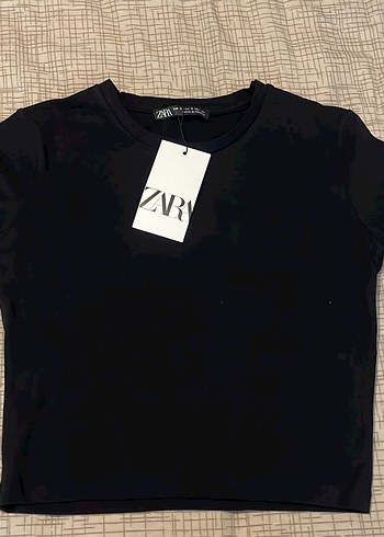 Zara Basic Kısa Tişört