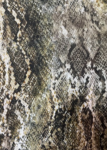 Düğmeli Yılan Desenli Gri Kadın Gömlek - Görsel 3