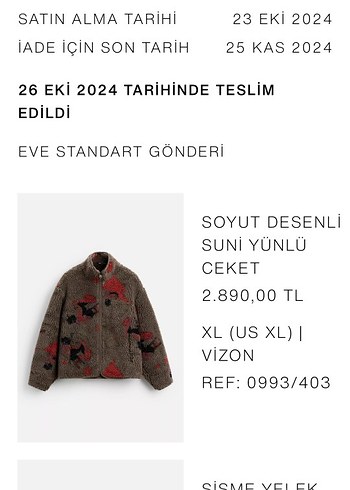 Zara Erkek Mont - Görsel 2