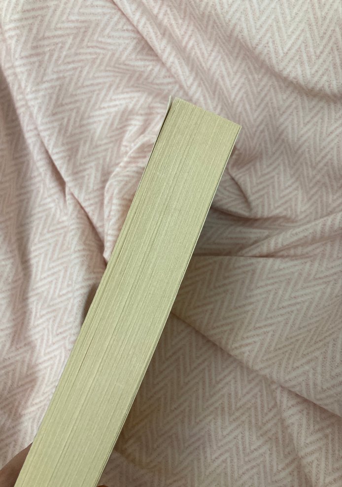 Dostoyevski - Suç ve Ceza (Dünya Klasikleri) - Görsel 3