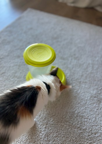 [pet life] Mama Kabı  Lime Kapaklı - Görsel 4