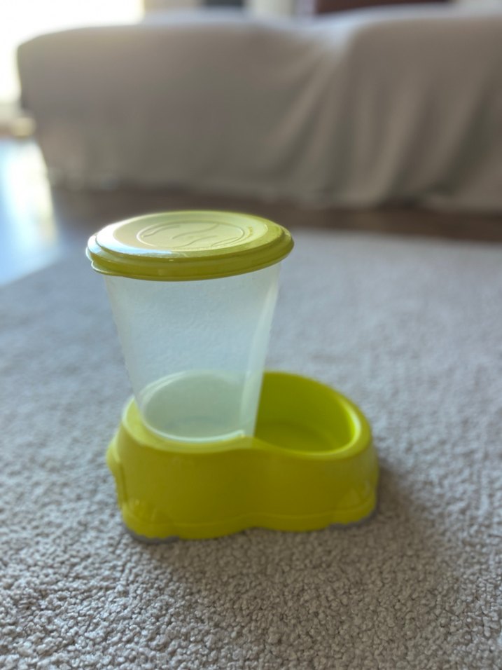 [pet life] Mama Kabı  Lime Kapaklı - Görsel 3