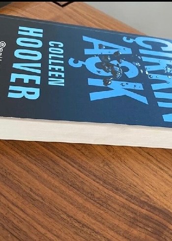 Çirkin Aşk - Colleen Hoover - Görsel 2