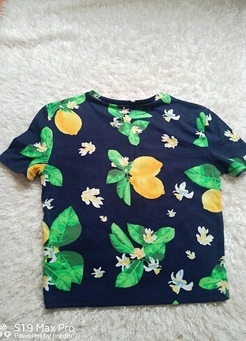 m Beden ZARA CROP T-SHİRT
