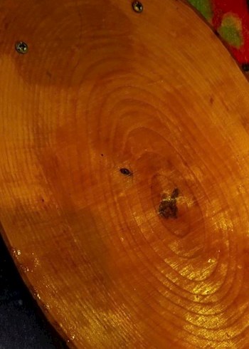 Mısır Desenli Ahşap Tebsi - Görsel 3