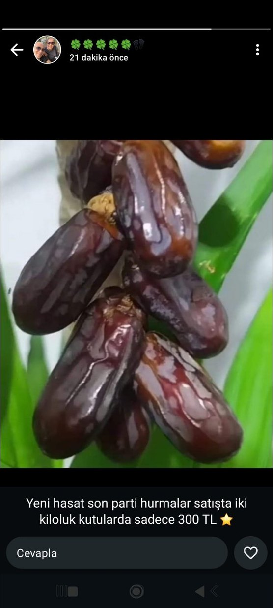 2 kilo İran hurması 350 TL - Görsel 2