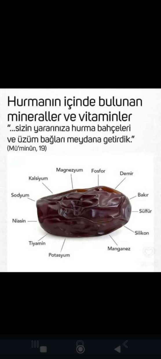 2 kilo İran hurması 350 TL - Görsel 3
