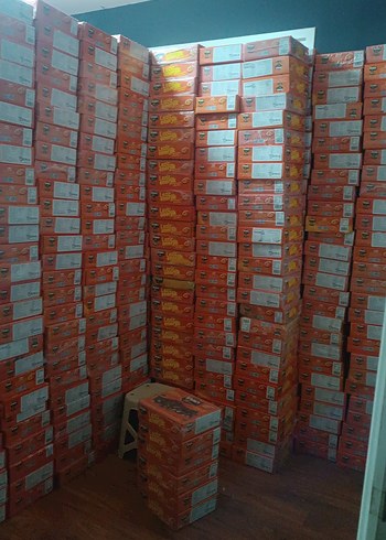 Koyu Kahverengi Hurma - Görsel 3