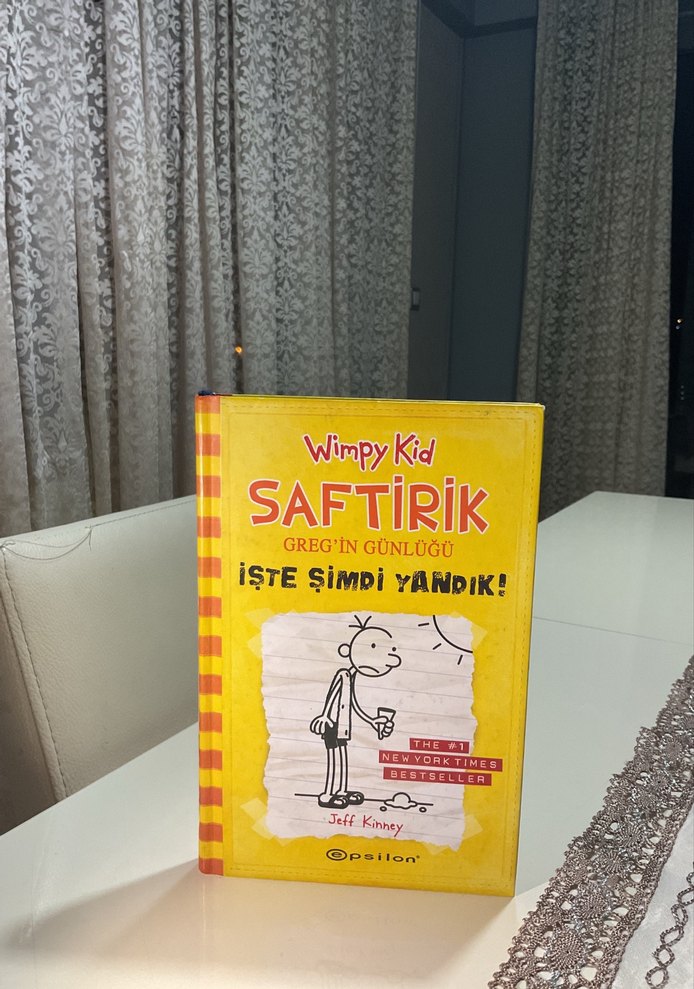 Wimpy Kid Saftirik Greg'in Günlüğü - İşte Şimdi Yandık! - Görsel 3