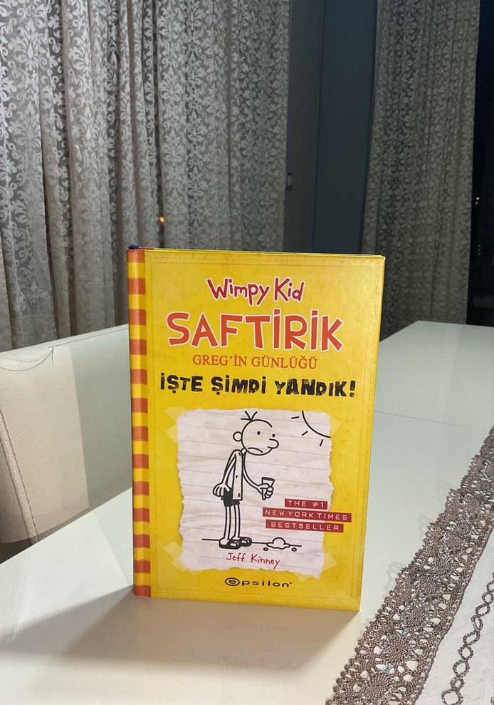 Wimpy Kid Saftirik Greg'in Günlüğü - İşte Şimdi Yandık! - Görsel 2