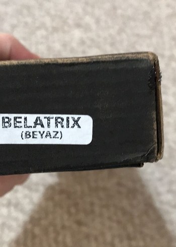 Harry Potter Beatrix asa - Görsel 2