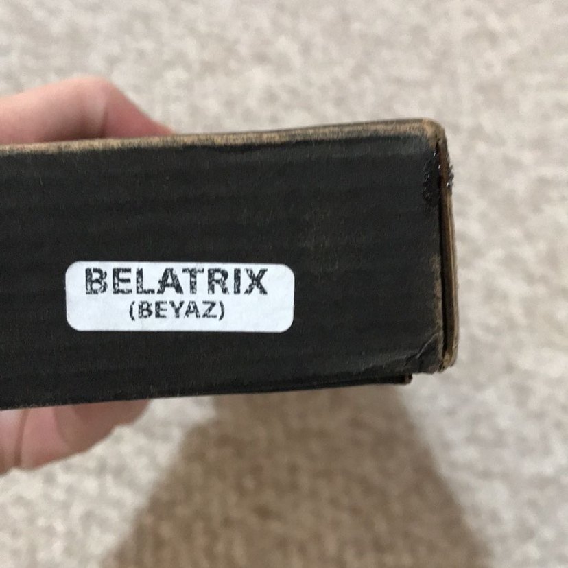 Harry Potter Beatrix asa - Görsel 2