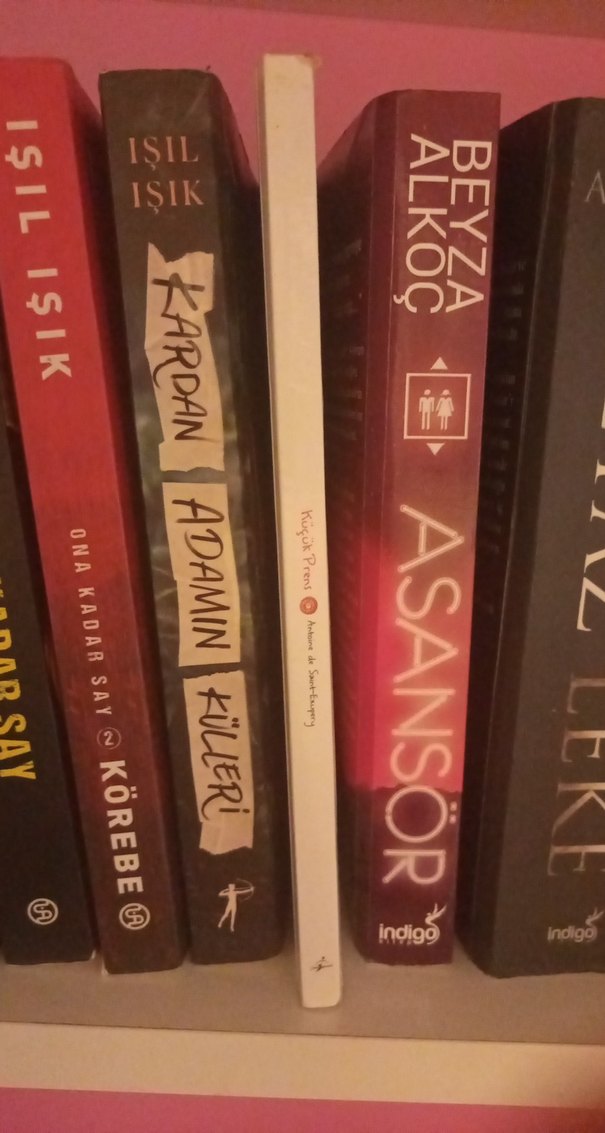 Küçük Prens - Antoine de Saint-Exupéry - Görsel 3