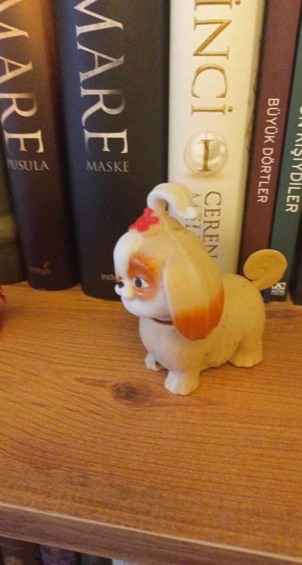 Kitaplık süsü - Görsel 2