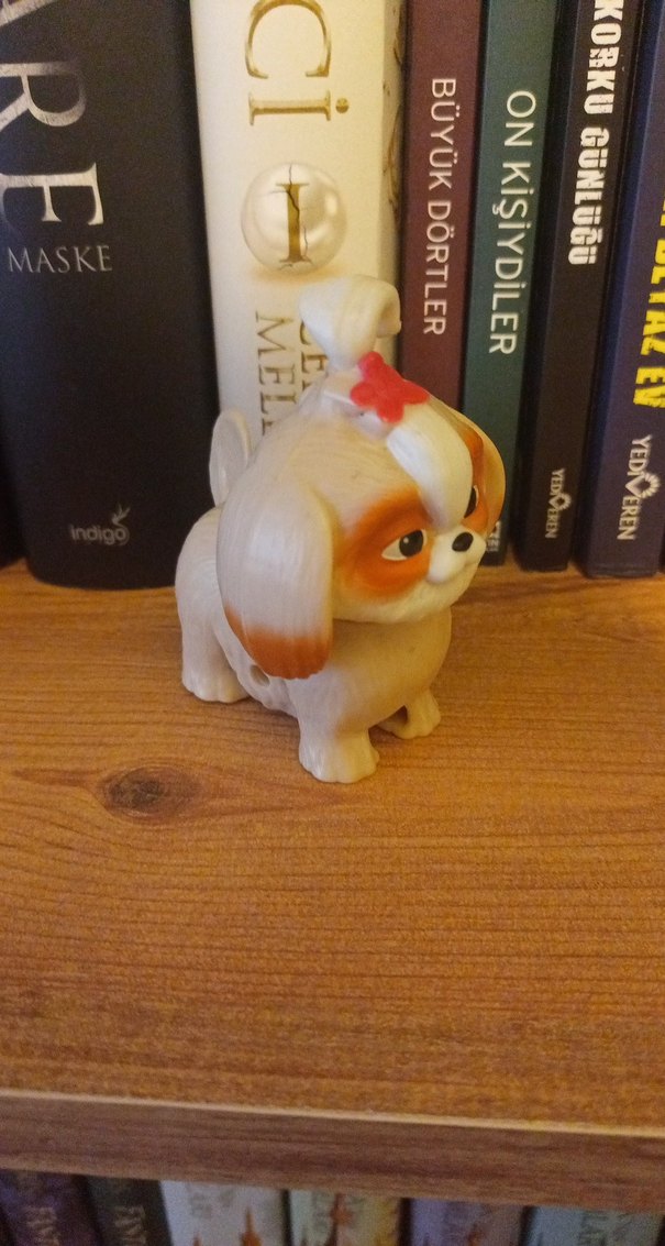 Kitaplık süsü - Görsel 4