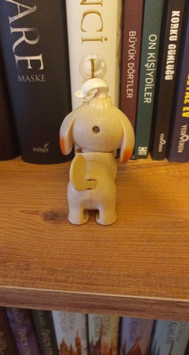 Kitaplık süsü - Görsel 3