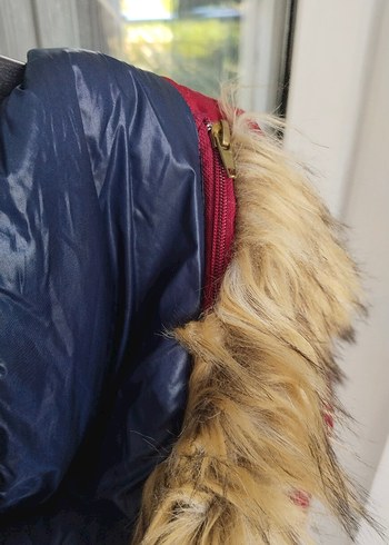 Yoyoso Bordo Düğmeli Kadın Mont - Görsel 3