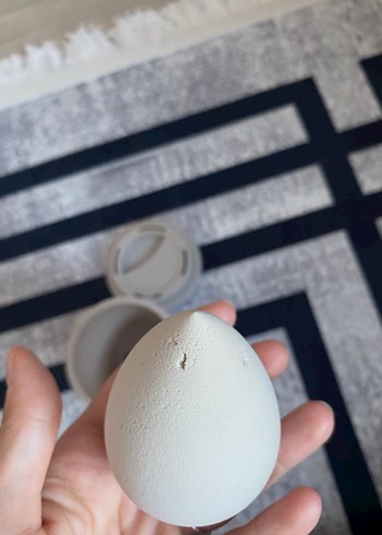 Nascita pro Bej Makyaj Süngeri ve Saklama Kutusu - Görsel 3