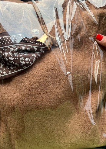 Bisküvi Rengi  Yün Kazak - Görsel 3