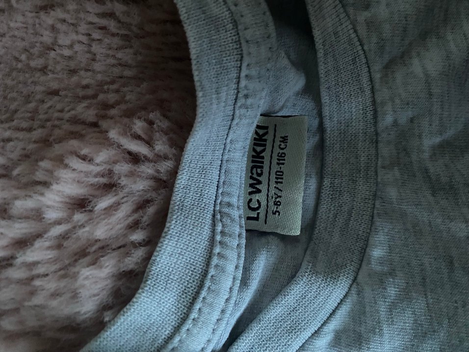 LCW 5-6 Yaş Tişört - Görsel 4