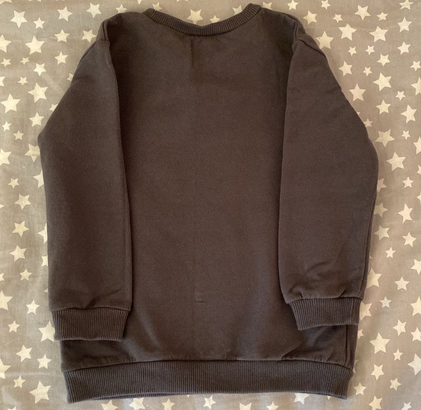 4-5 Yaş Dinozor Baskılı Gri Kazak - Görsel 2