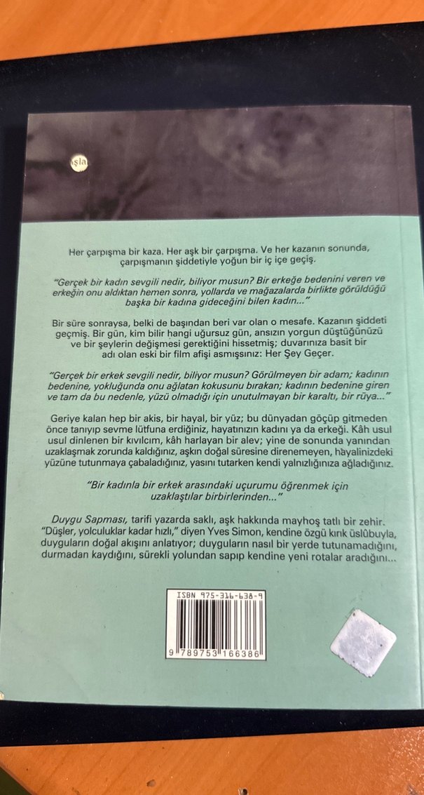 Duygu Sapması - Simon, 1991 Everest - Görsel 2