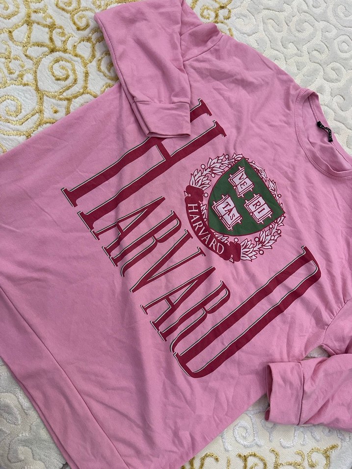 Pembe Harvard Baskılı Kadın Sweatshirt - Görsel 3