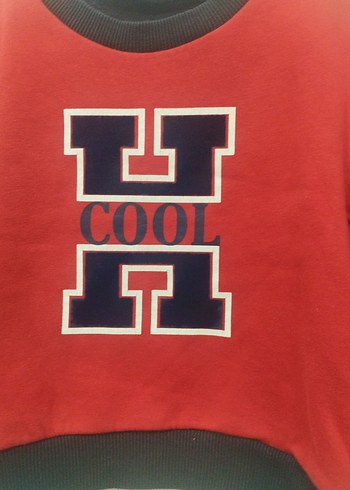 Erkek Çocuk Kırmızı Baskılı Sweatshirt - Görsel 4