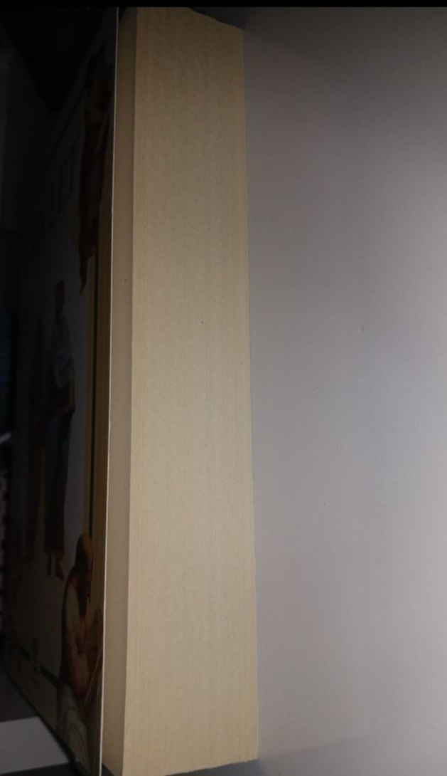 platon devlet - Görsel 2