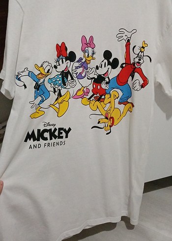 Walt Disney World xs