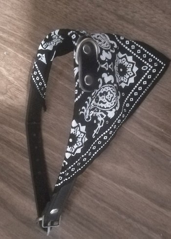 Kedi köpek atkısı - Görsel 2