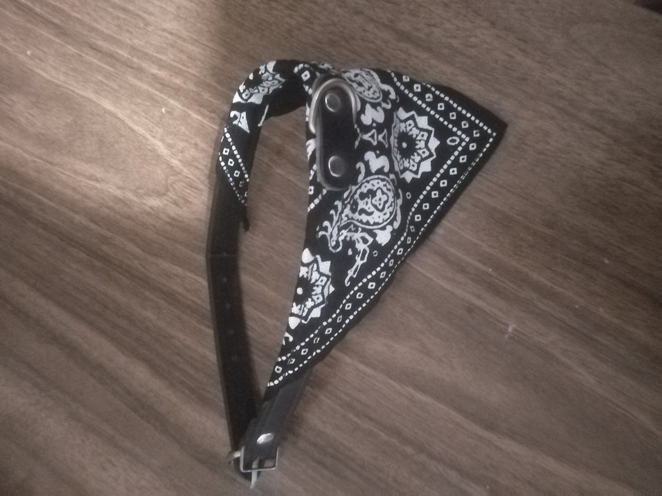 Kedi köpek atkısı - Görsel 2