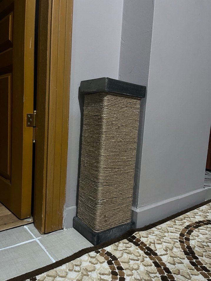 Kedi Tırmalama Tahtası - Görsel 2