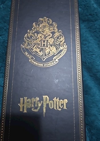 Harry Potter Altın Rozet yazi seti - Görsel 2