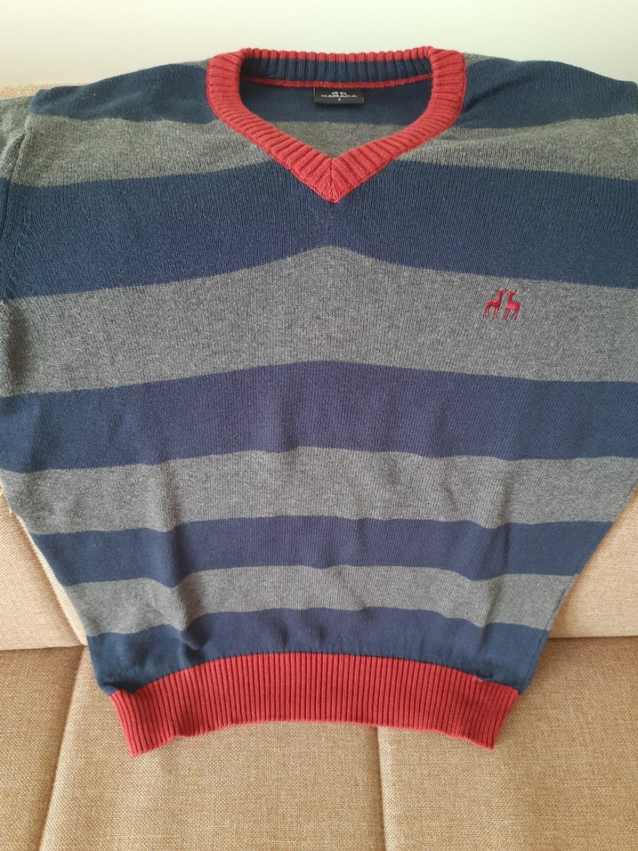 Karaca Gri Çizgili V Yakalı Erkek Triko Kazak - Görsel 5