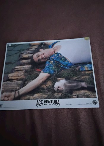 ACE VENTURA WHEN NATURE CALLS LOBİ KART 2Ad. - Görsel 2