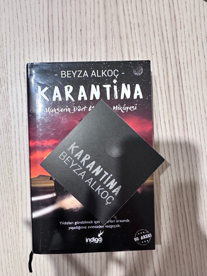 Ayraçlı Karantina Romanı - Görsel 2