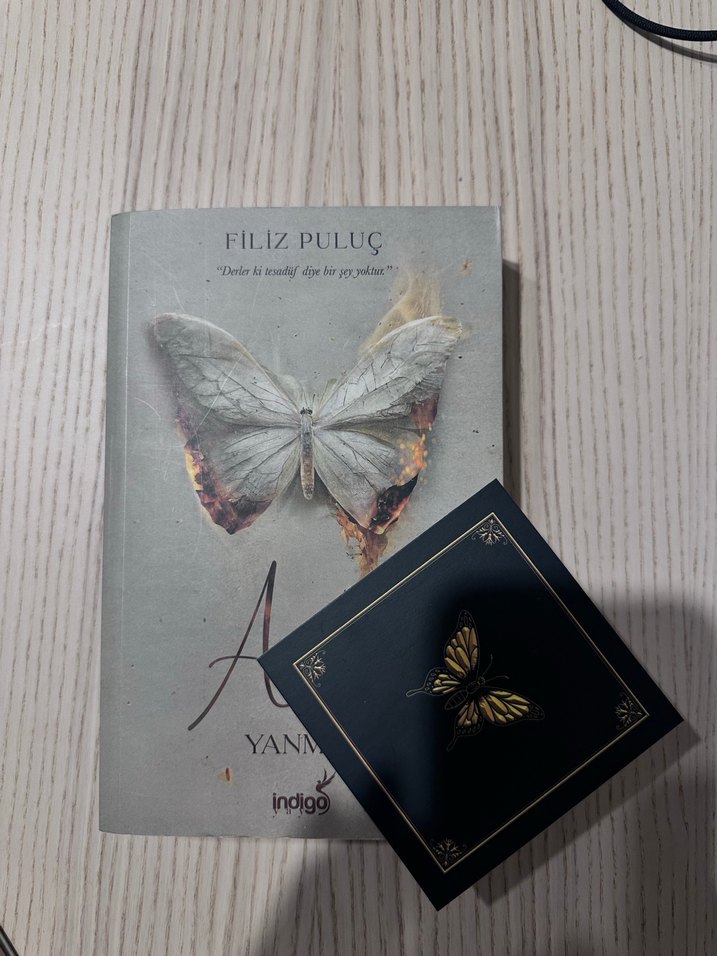 Ateş Yanmak - Filiz Puluç AYRAÇLI - Görsel 2