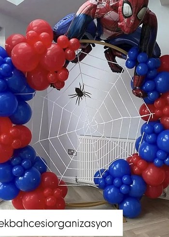 Örümcek Adam Temalı Parti Dekorasyonu - Görsel 3