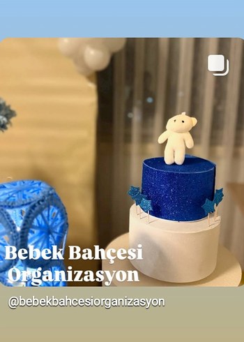 Mavi Bebek Partisi Süslemeleri - Görsel 2